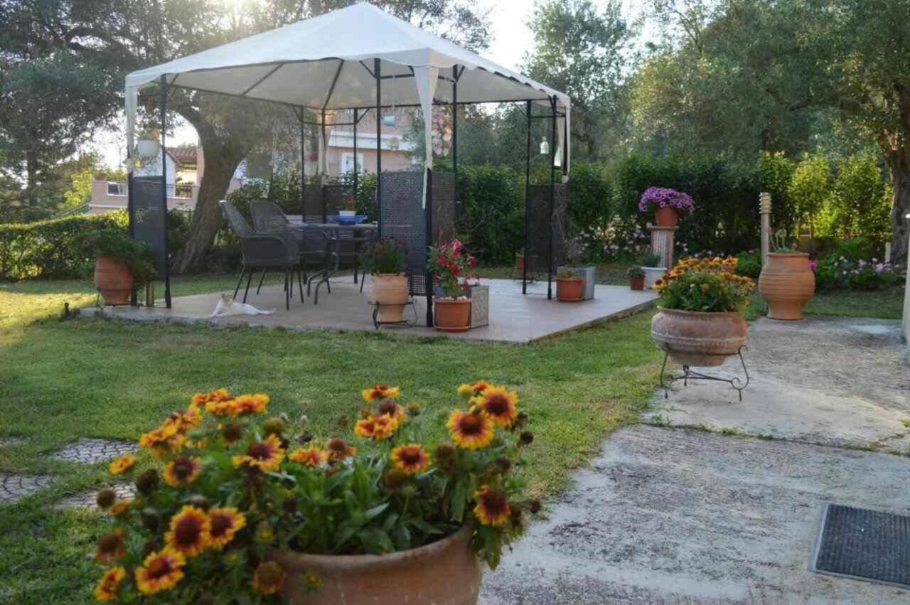 Sunny Garden Apartment Plataria Exterior photo